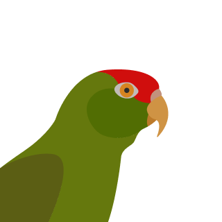 Avatar of a Amazon on a green background