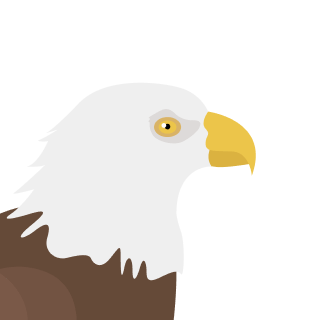 Avatar of a Bald eagle on a indigo background
