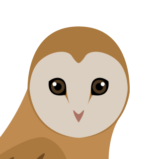 Avatar of a Barn owl on a pink background