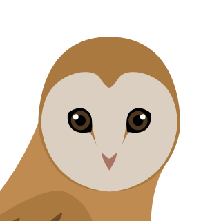 Avatar of a Barn owl on a orange background