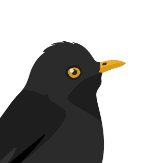 Avatar of a Blackbird on a sky background