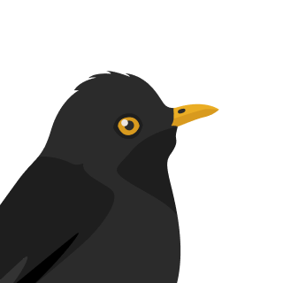 Avatar of a Blackbird on a blue background