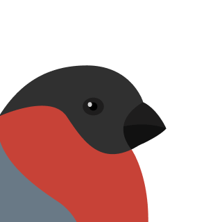 Avatar of a Bullfinch on a gray background
