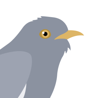 Avatar of a Cuckoo on a orange background