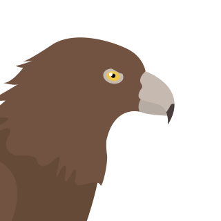 Avatar of a Golden eagle on a stone background