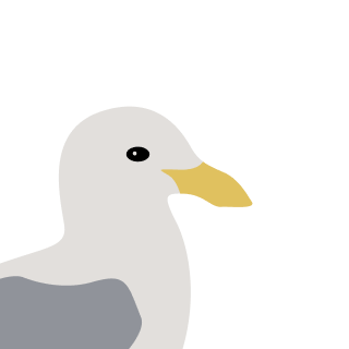Avatar of a Gull on a purple background