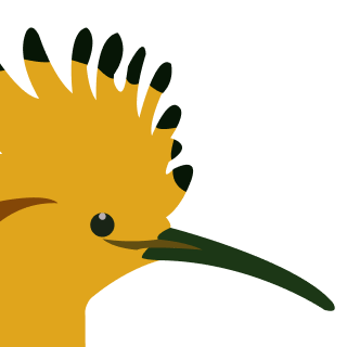 Avatar of a Hoopoe on a lime background