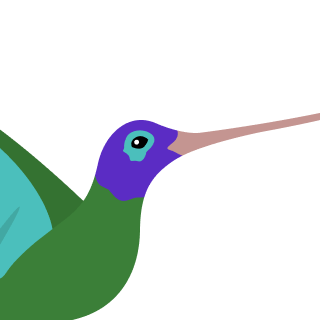 Avatar of a Hummingbird on a zinc background