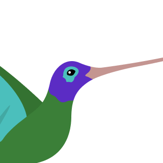Avatar of a Hummingbird on a orange background