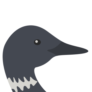 Avatar of a Loon on a purple background