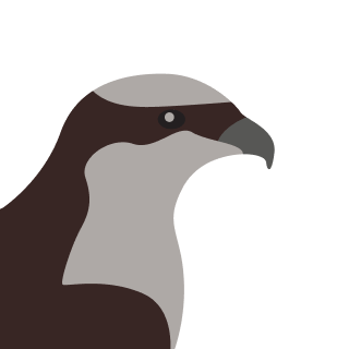 Avatar of a Osprey on a orange background