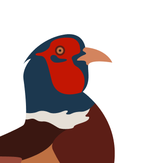 Avatar of a Pheasant on a sky background