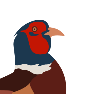 Avatar of a Pheasant on a zinc background