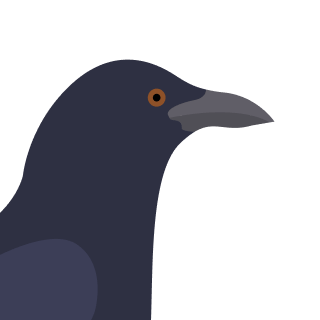 Avatar of a Raven on a rose background