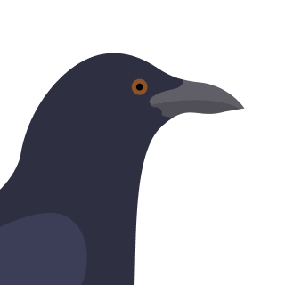 Avatar of a Raven on a teal background