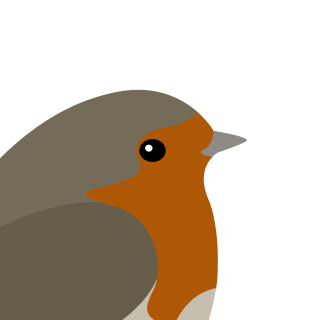 Avatar of a Robin on a teal background