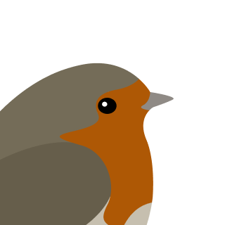 Avatar of a Robin on a neutral background