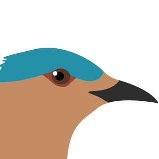 Avatar of a Roller on a amber background