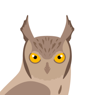 Avatar of a Scops owl on a cyan background