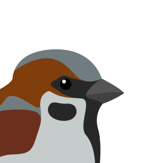 Avatar of a Sparrow on a blue background