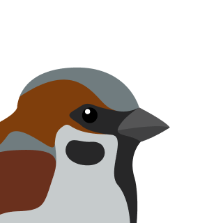 Avatar of a Sparrow on a gray background