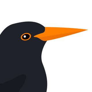 Avatar of a Thrush on a cyan background