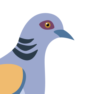 Avatar of a Turtle dove on a pink background