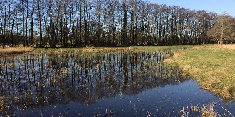 Image of Hopton Fen birding site