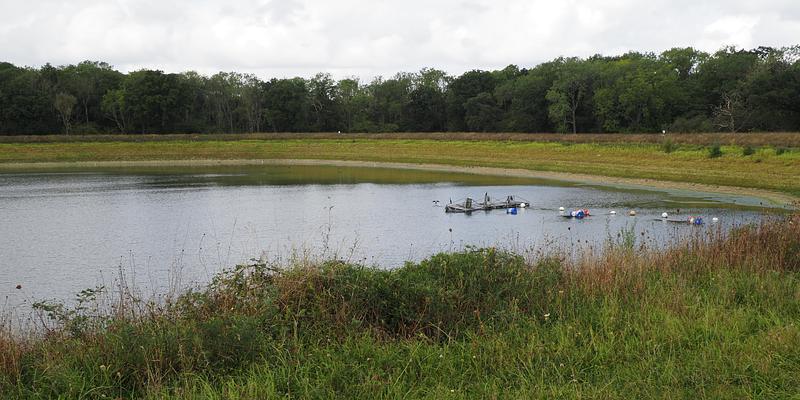 Image of Euston Farm reservoir birding site