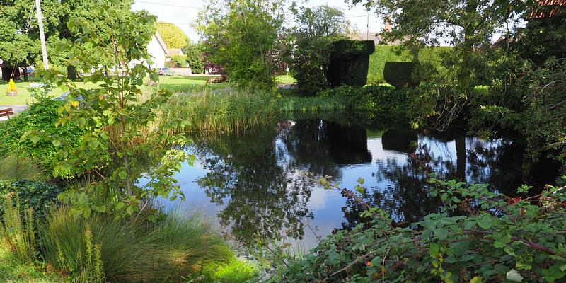 Image of Redgrave birding site