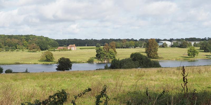 Image of Redgrave Park Lake birding site