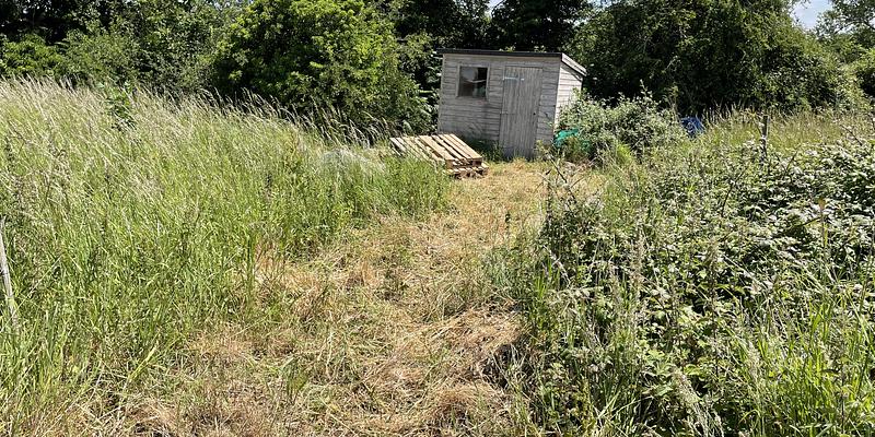 Image of Trees for the Triangle - East Beckham allotments birding site
