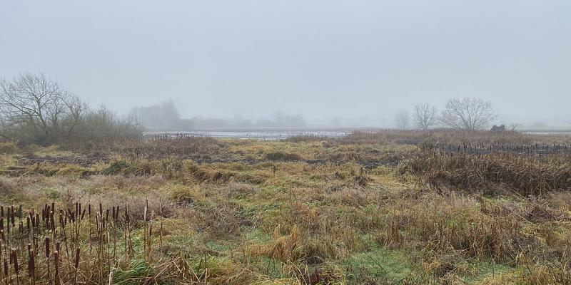 Image of Dickleburgh Moor birding site