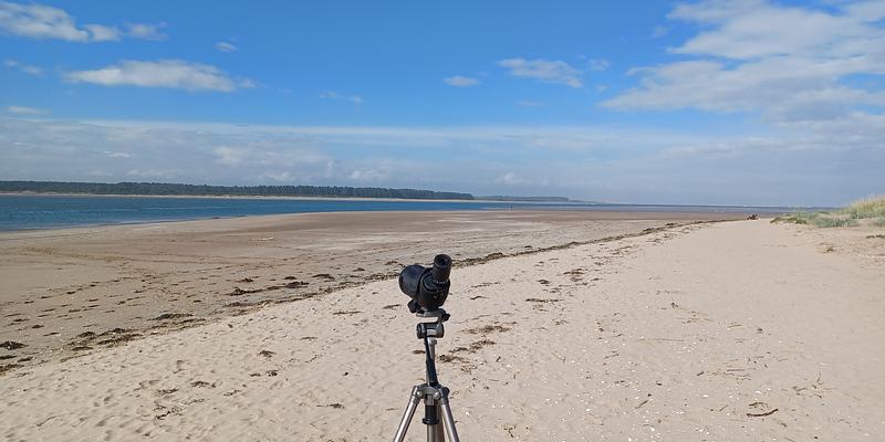 Image of Out Head birding site