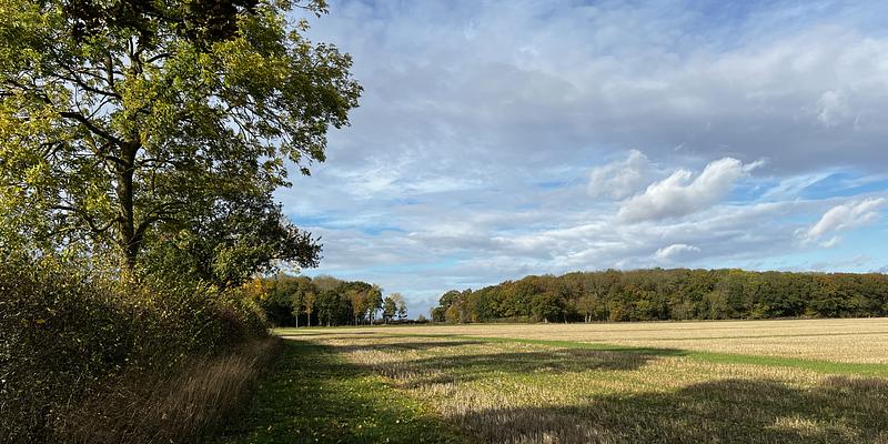 Image of Westhorpe Lodge birding site