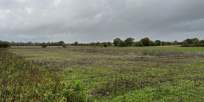Image of Fairoaks Farm birding site