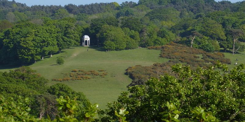 Image of Sheringham Park birding site