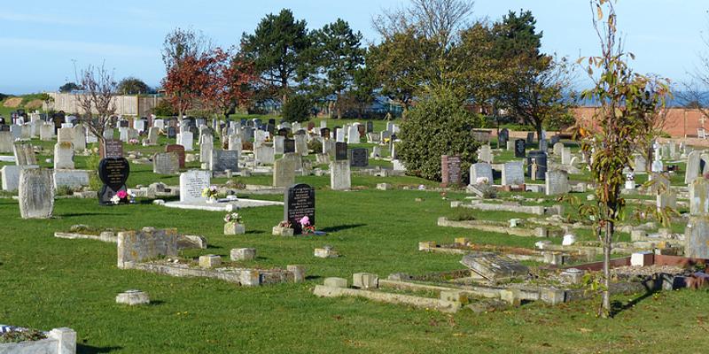 Image of Sheringham Cemetery birding site