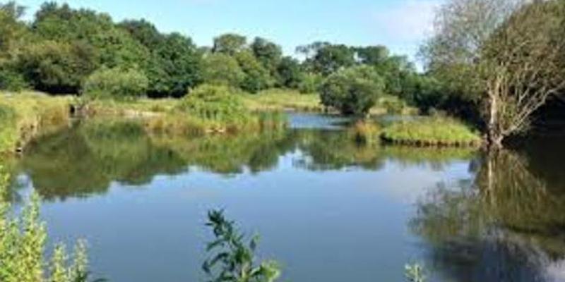 Image of Roughton birding site
