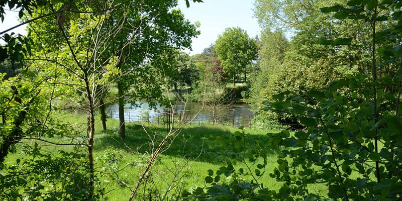 Image of Oulton birding site