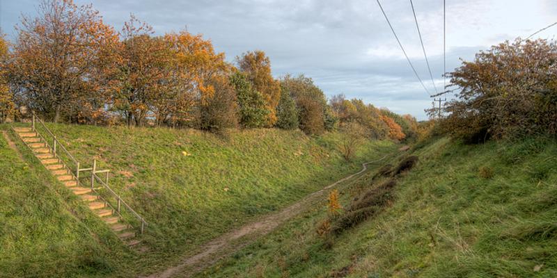 Image of Felmingham birding site