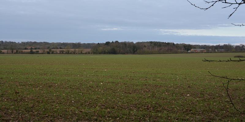 Image of Alby birding site