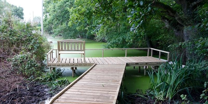 Image of Aylmerton Pond Project birding site