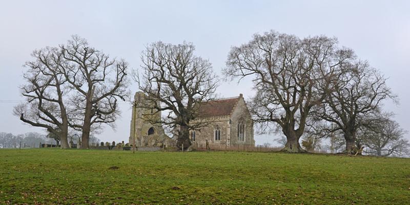 Image of Barningham Hall Lake (no public access) birding site
