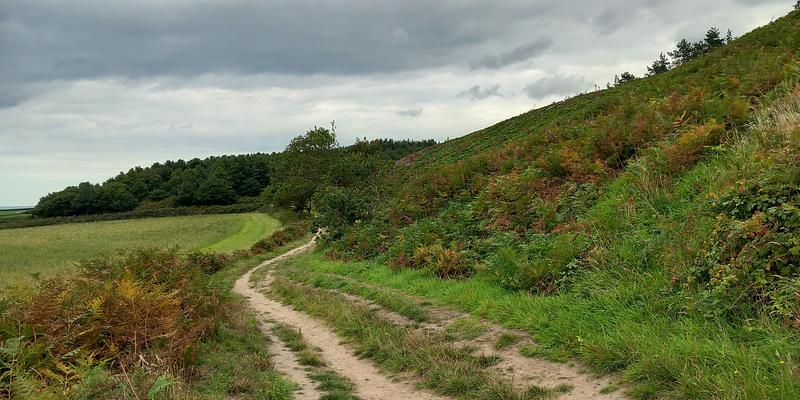 Image of Weybourne Heath NT birding site