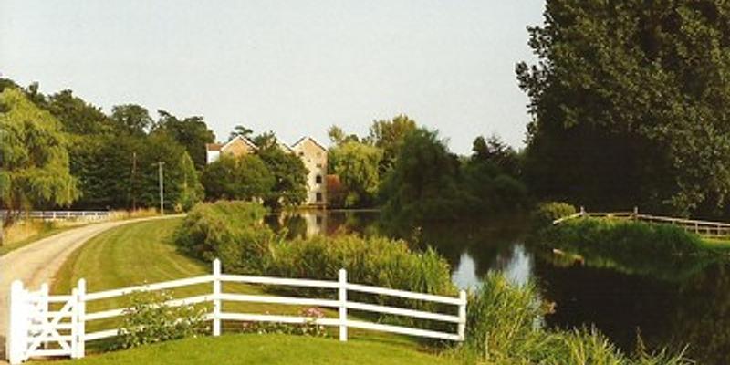 Image of Brampton & Oxnead birding site
