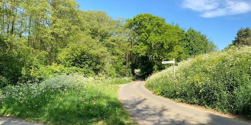 Image of Antingham & Bradfield birding site