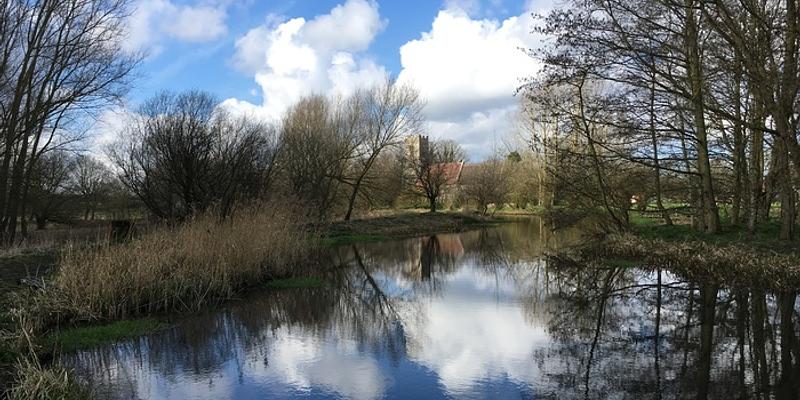 Image of Burgh-next-Aylsham  birding site