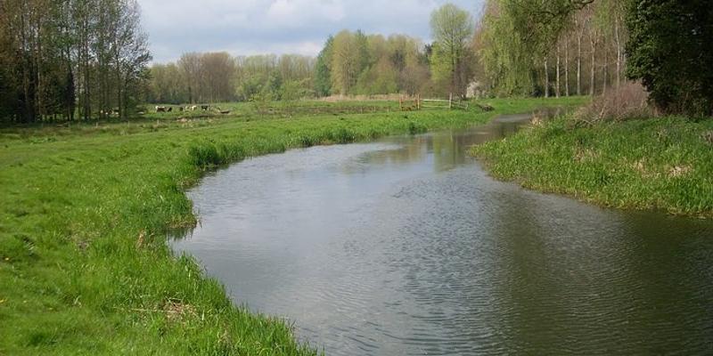 Image of Buxton & Little Hautbois birding site