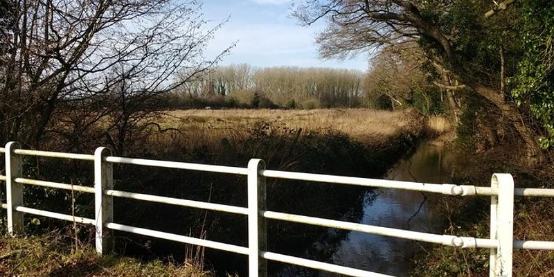 Image of Buck Bridge birding site